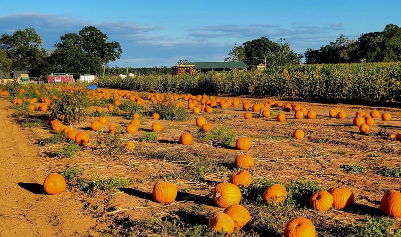 Holland Farms, Milton, FL