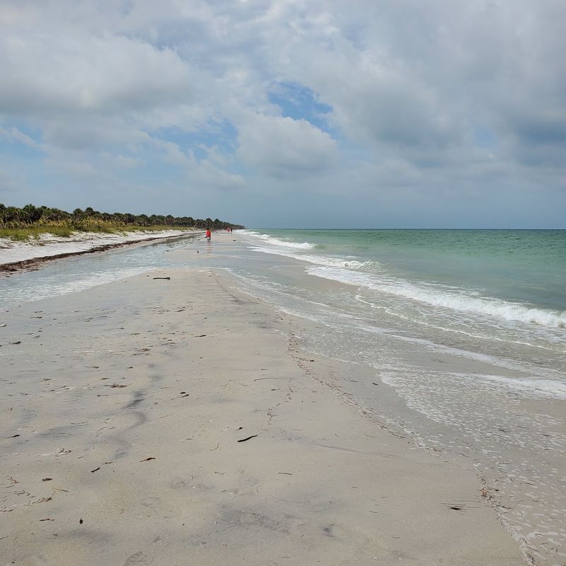 Honeymoon Island, Dunedin, Florida