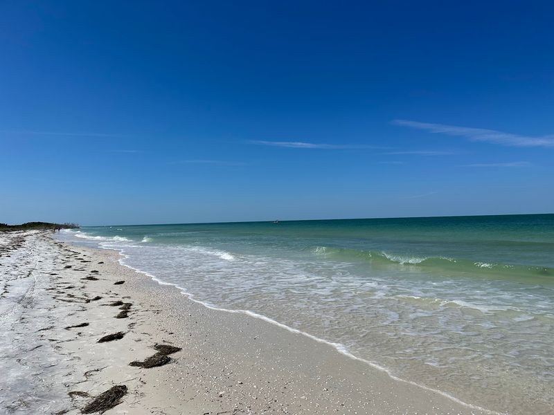 Honeymoon Island State Park, Dunedin, FL