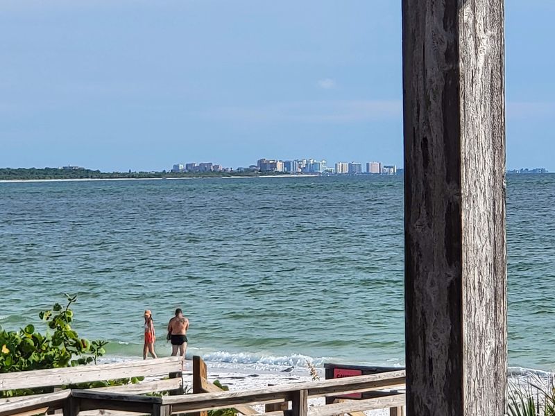 Honeymoon Island and Its Wild Shoreline Honeymoon Island and Its Wild Shoreline