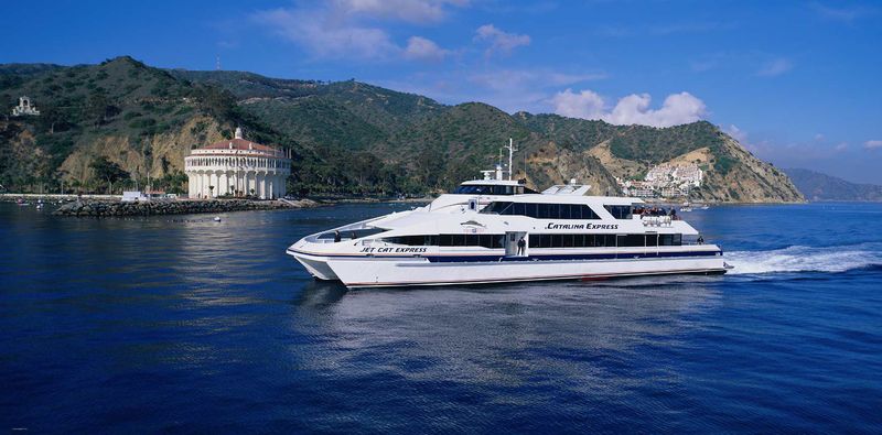 Honeymoons, Birthdays, and Four-Legged Travelers Honeymoons, Birthdays, and Four-Legged Travelers