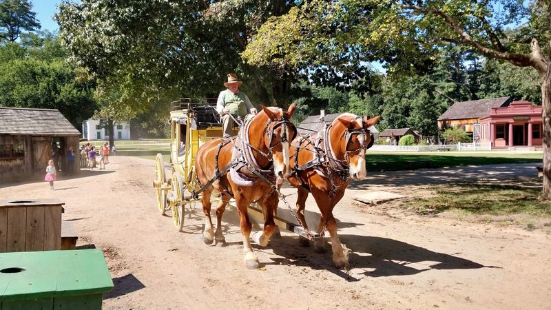 Horse-Drawn Rides Around the Lake Horse-Drawn Rides Around the Lake