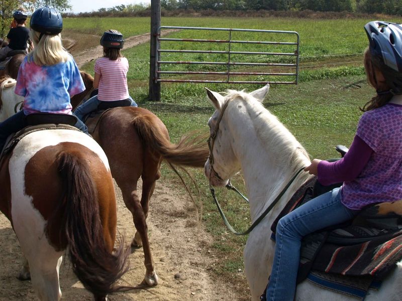 Horse Matching That Makes a Real Difference Horse Matching That Makes a Real Difference