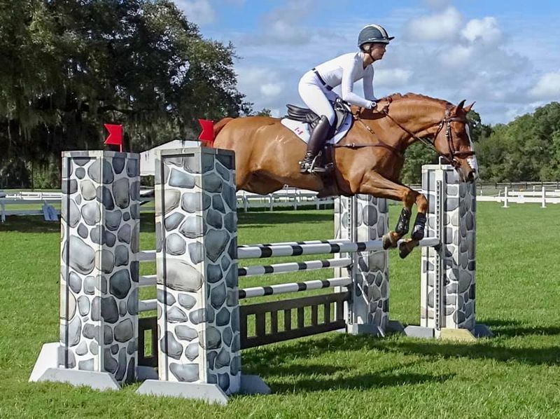 Horse Shows and Competitions in the Park