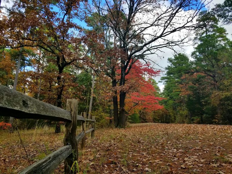 Horseback Riding Through History on Equestrian Trails Horseback Riding Through History on Equestrian Trails