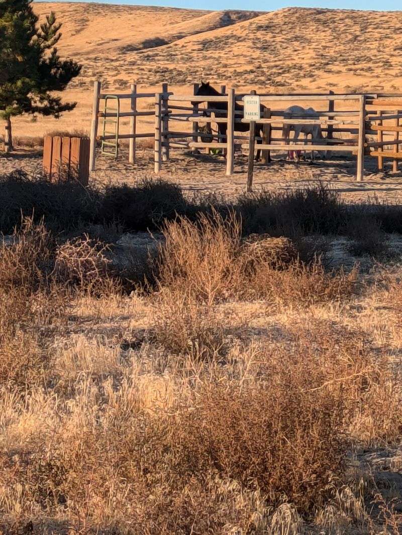 Horseback Riding on Desert Trails