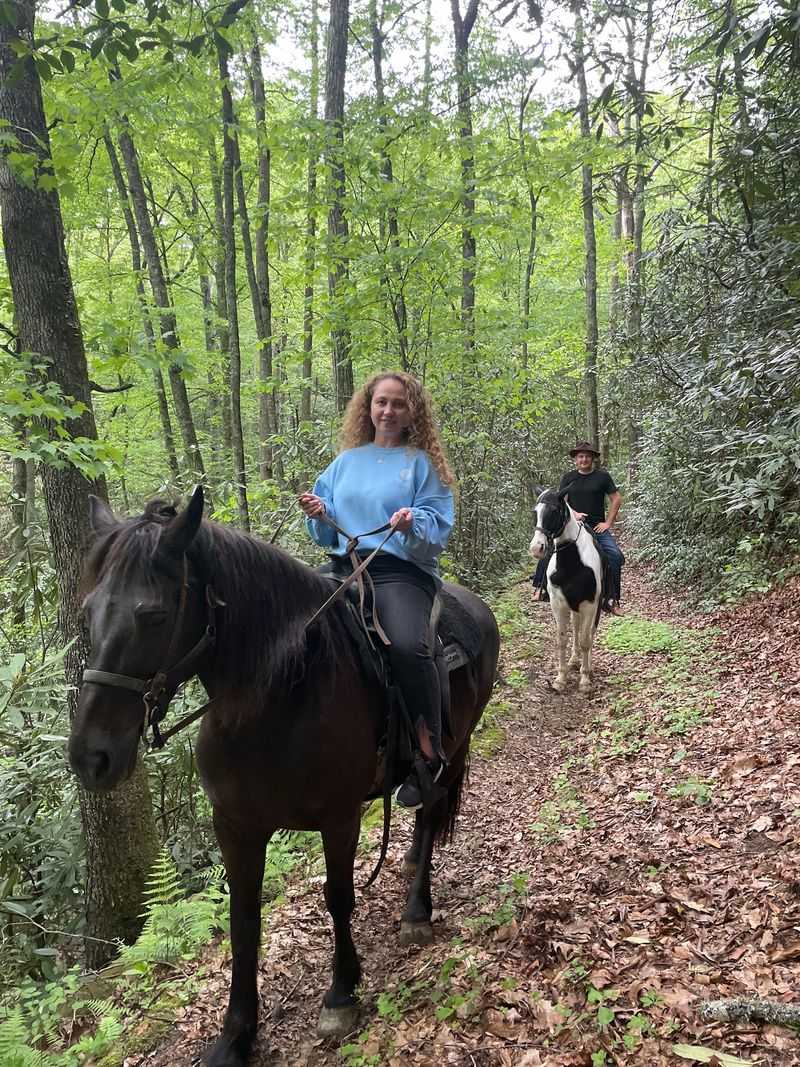Horses Matched to Your Personality