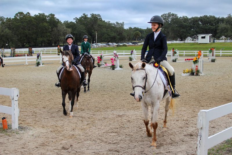 Horses at the Heart of Everything