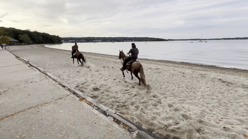 Horses on the Trails Horses on the Trails
