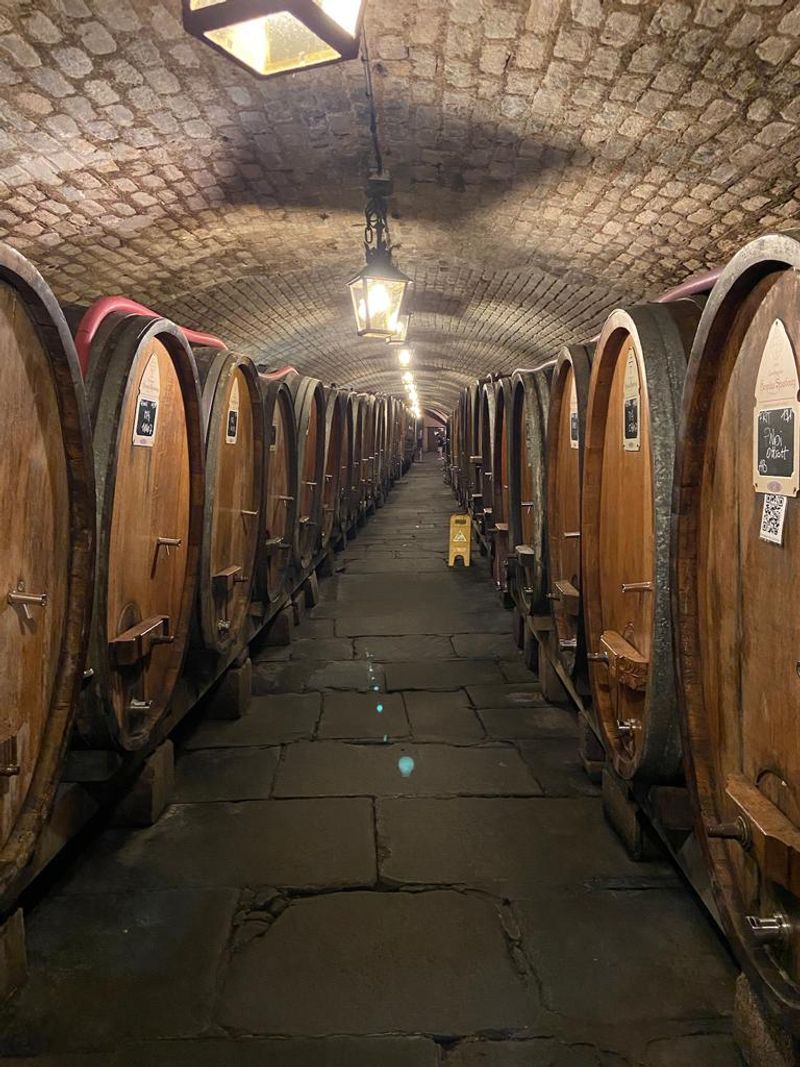 Hospices de Strasbourg Historic Wine Cellar, Strasbourg, France