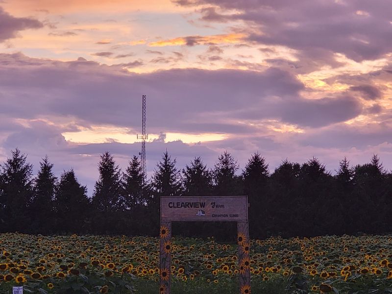 Hours, Access, and How to Plan Your Visit