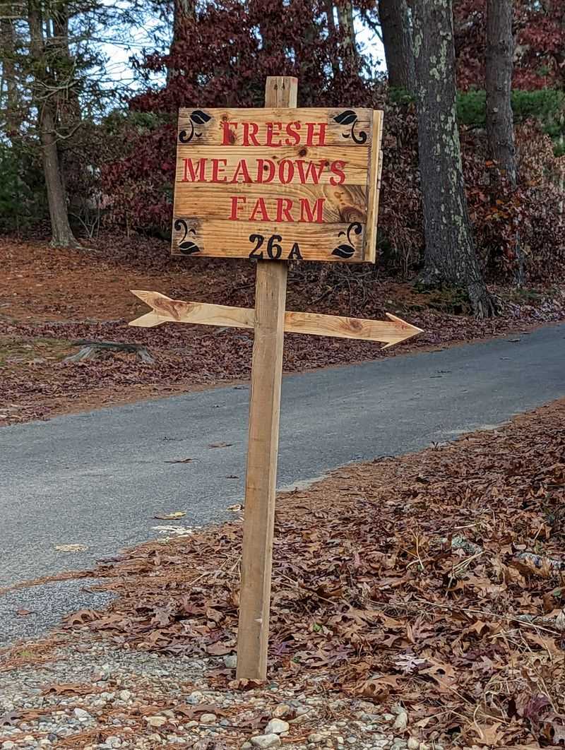 Hours and How to Plan Your Visit