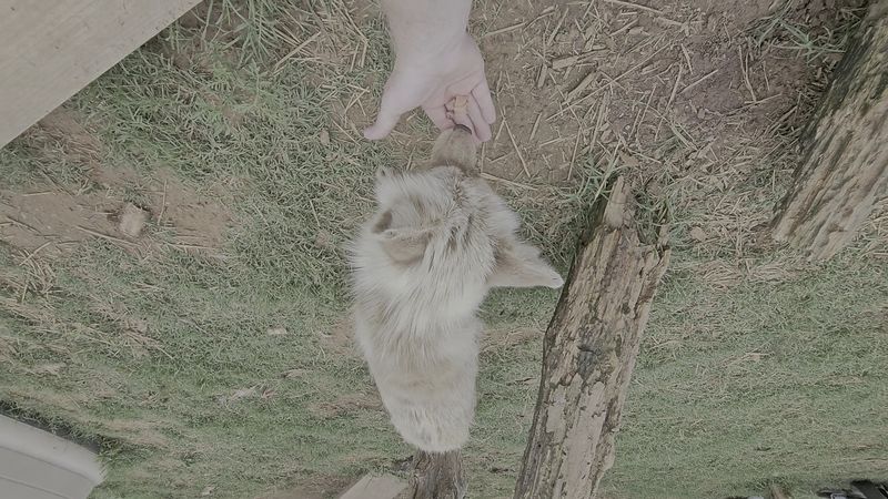 How Feeding and Interaction Actually Work How Feeding and Interaction Actually Work