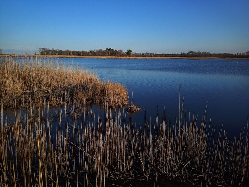 How Hurricane Sandy Nearly Erased This Place How Hurricane Sandy Nearly Erased This Place