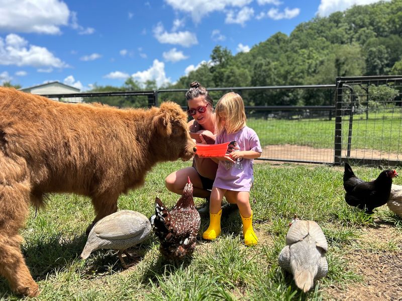 How Jamie's Dream Became a Working Farm How Jamie's Dream Became a Working Farm