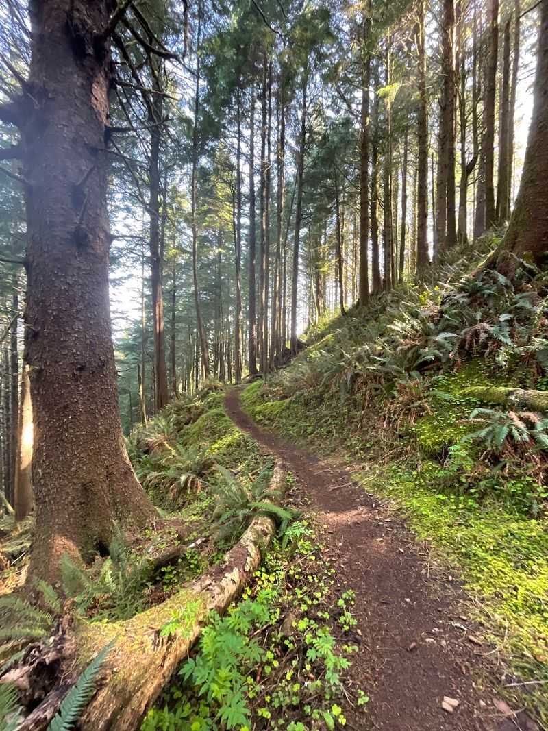 How Long and How Hard the Hike Really Is How Long and How Hard the Hike Really Is