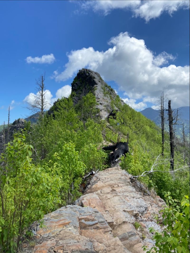 How Long the Hike Really Takes How Long the Hike Really Takes