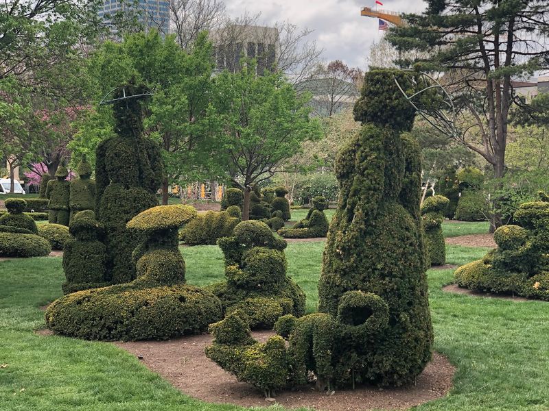 How Shrubs Became Sculptures How Shrubs Became Sculptures