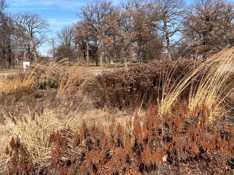 How This Garden Changes With Every Season How This Garden Changes With Every Season