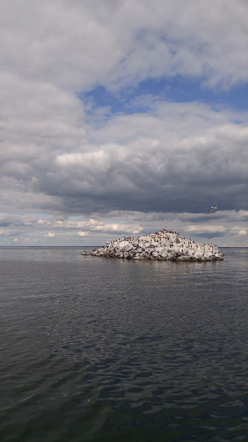 How This Refuge Compares to Others in the System How This Refuge Compares to Others in the System