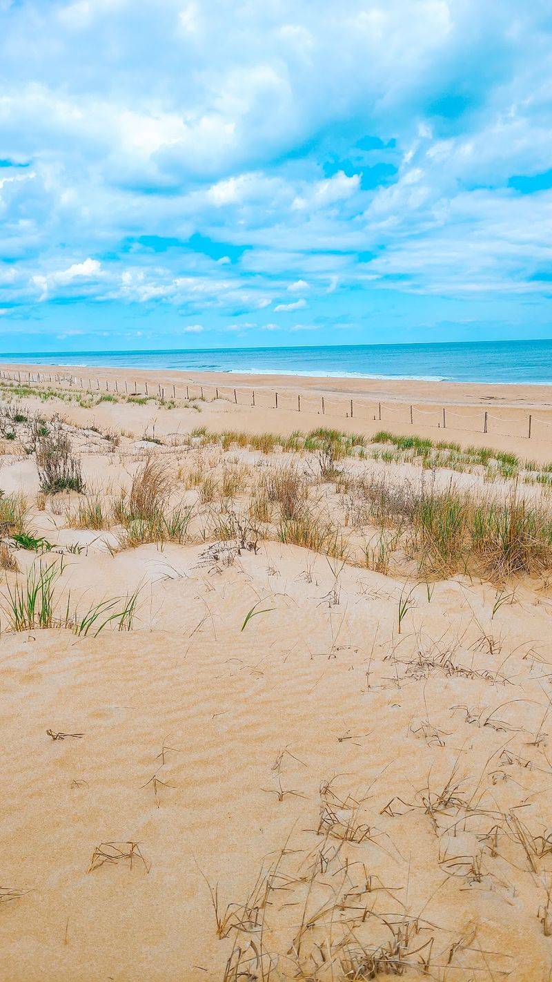 How the Park Protects Its Dunes and Fragile Habitat How the Park Protects Its Dunes and Fragile Habitat