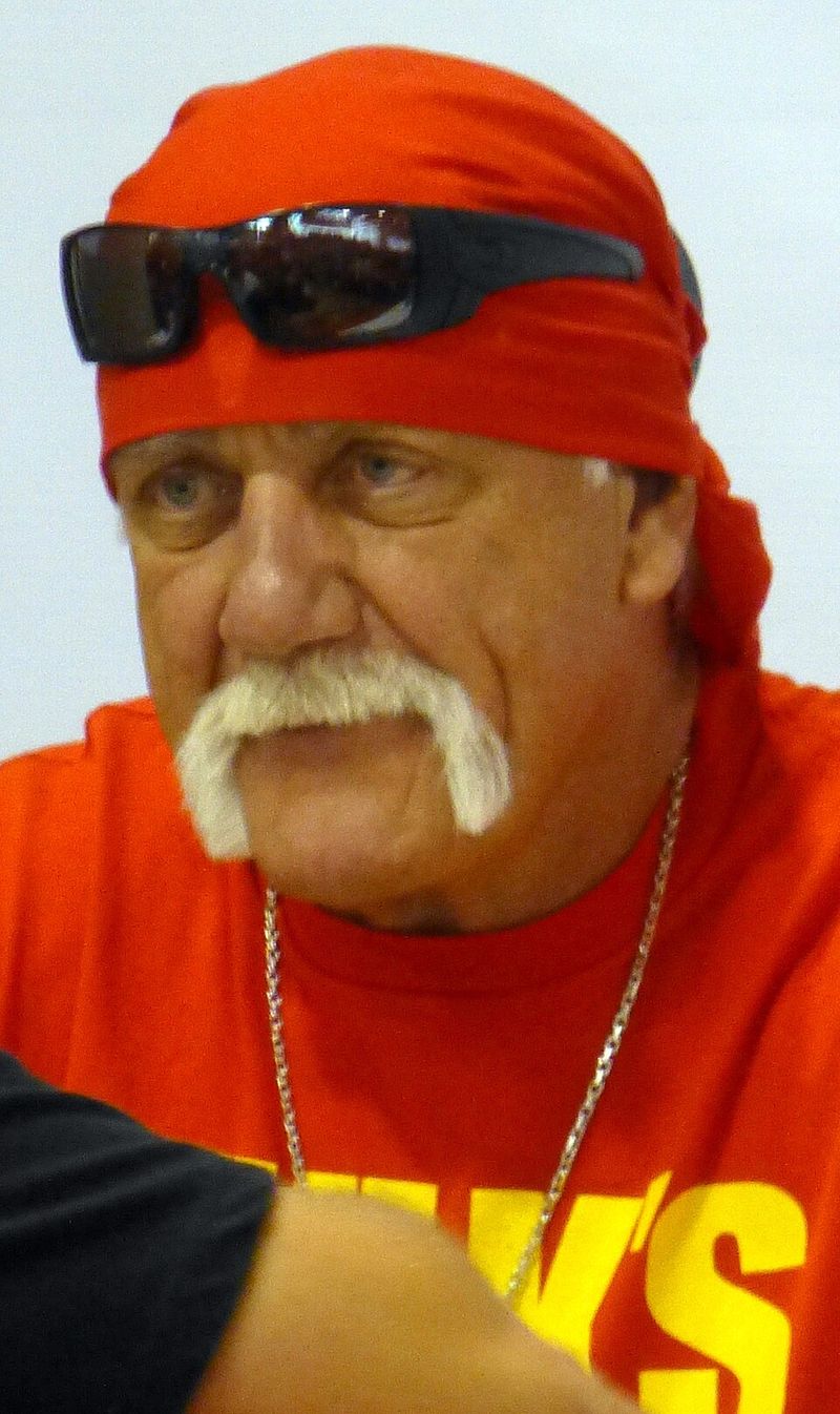 Hulk Hogan vs. Laser Spine Institute