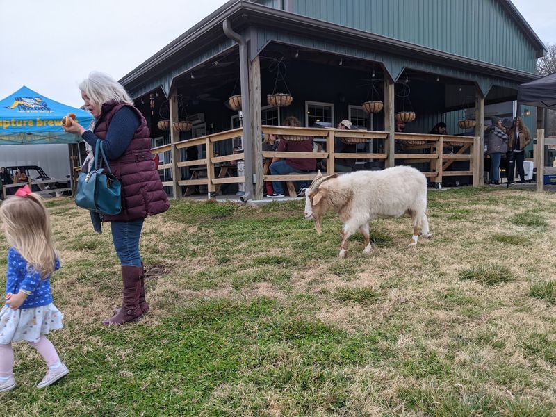 Humane Animal Care as a Farm Philosophy