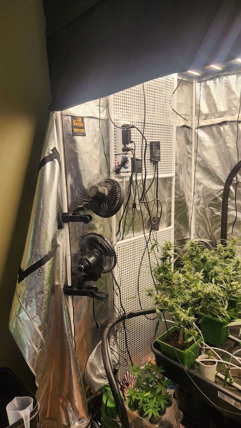 Indoor Grow Lights That Actually Deliver Results