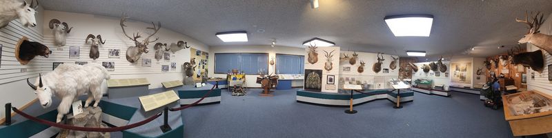 Inside the Exhibits: A World Tour Mounted on the Walls Inside the Exhibits: A World Tour Mounted on the Walls