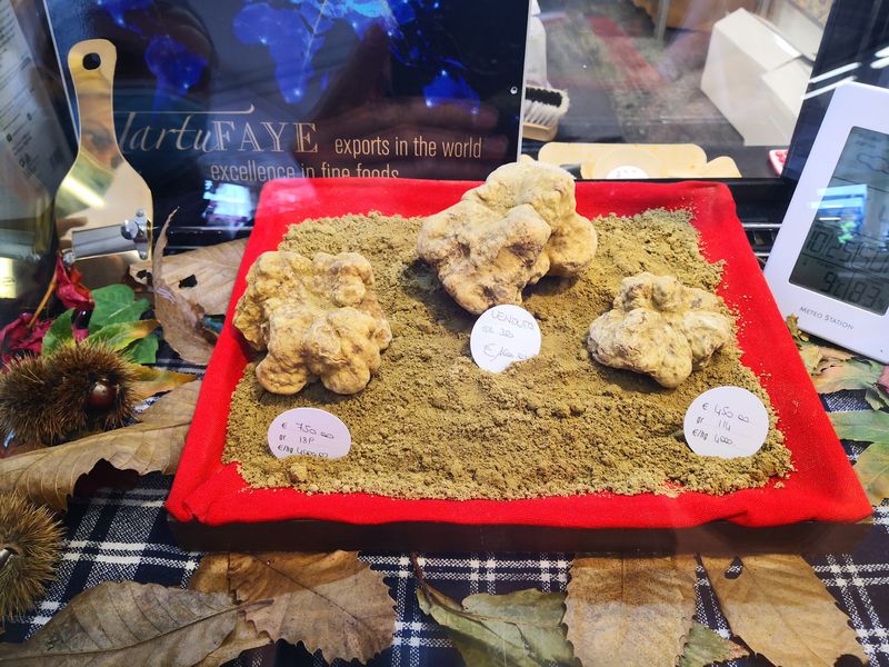 International Alba White Truffle Fair - Alba, Italy International Alba White Truffle Fair - Alba, Italy