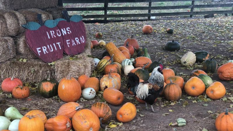 Irons Fruit Farm, Ohio, Lebanon