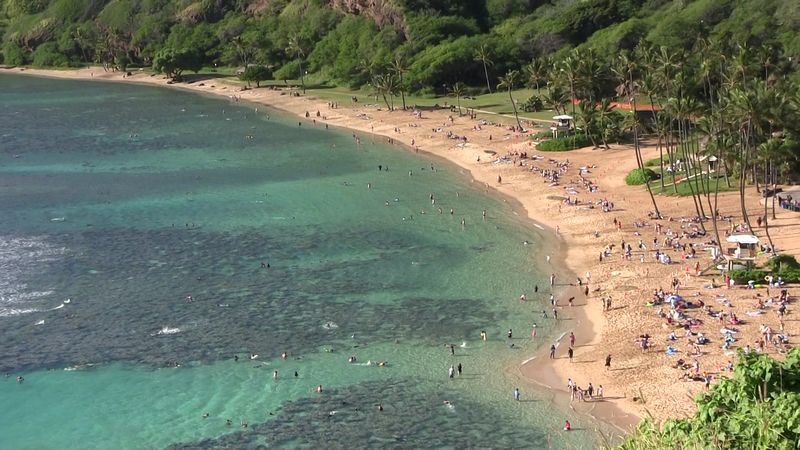 Is the Protected Cove Worth Your Day on Oahu Is the Protected Cove Worth Your Day on Oahu