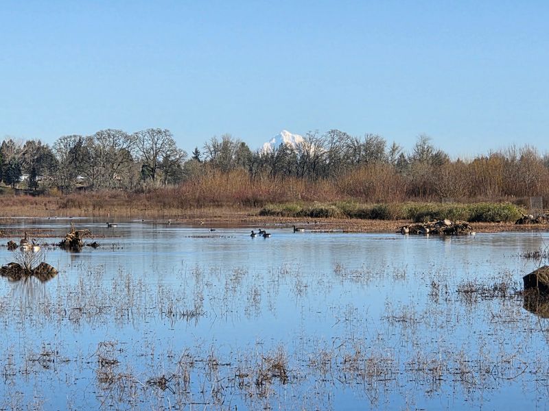 Jackson Bottom Wetlands, Hillsboro, OR Jackson Bottom Wetlands, Hillsboro, OR