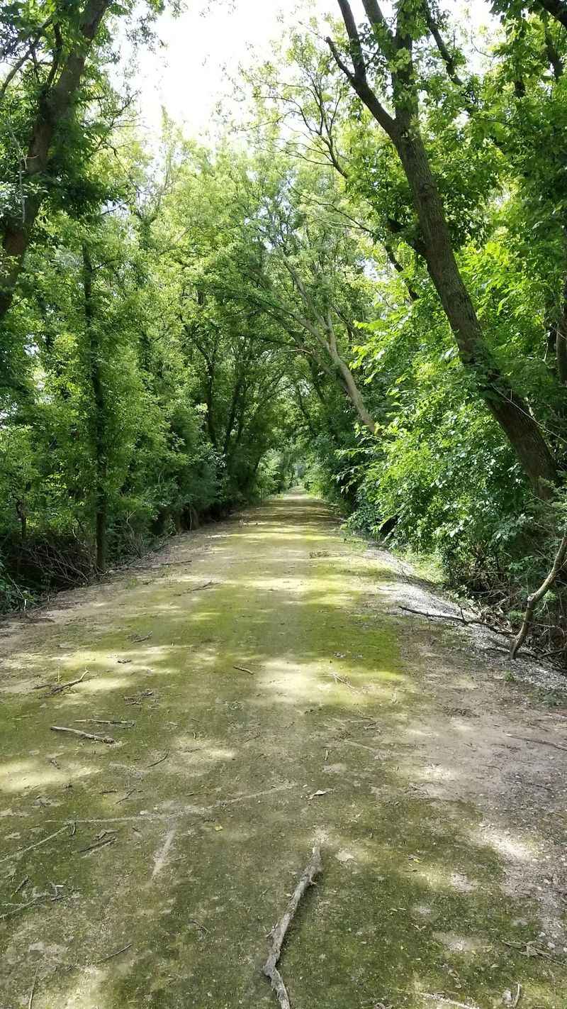Jane Addams Trail