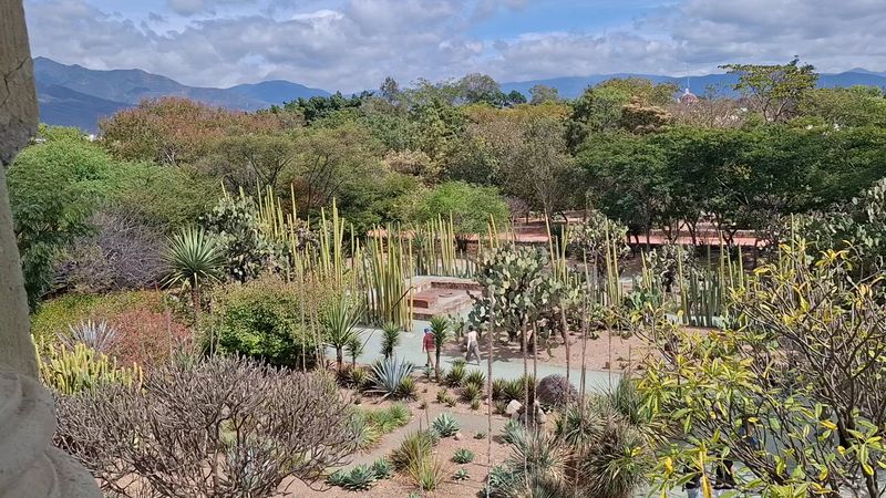 Jardín Etnobiológico de Oaxaca, Oaxaca de Juárez, Mexico Jardín Etnobiológico de Oaxaca, Oaxaca de Juárez, Mexico