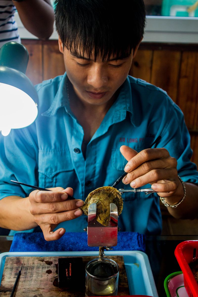 Jewelry Pearls Come From a Completely Different Type of Oyster Jewelry Pearls Come From a Completely Different Type of Oyster