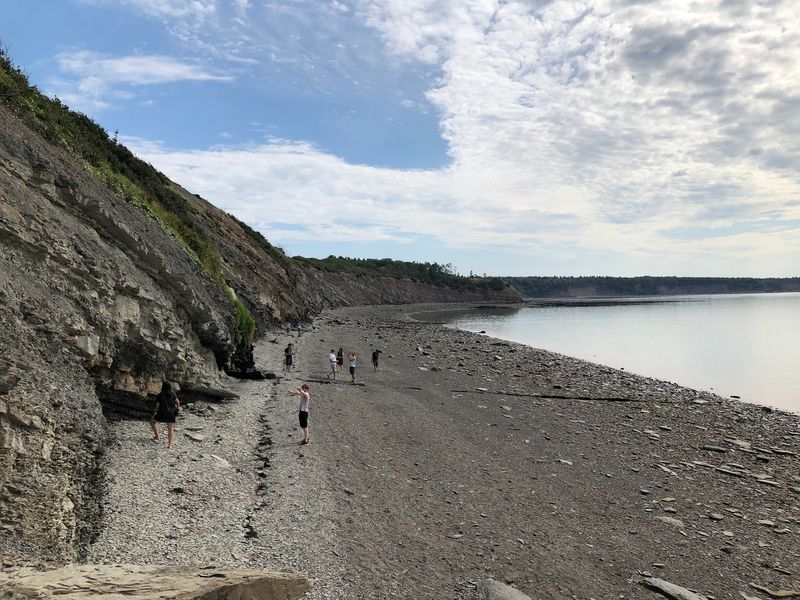 Joggins Fossil Cliffs, Nova Scotia Joggins Fossil Cliffs, Nova Scotia