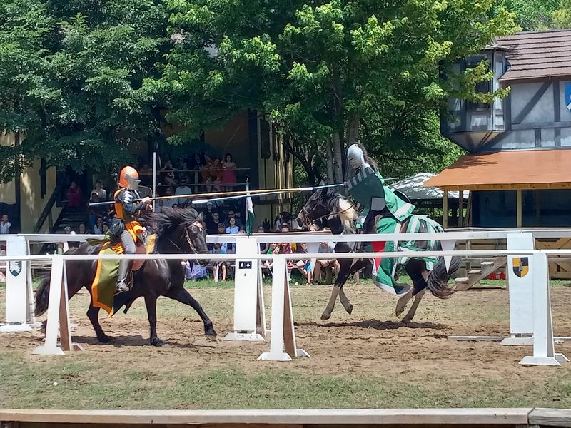 Jousting Shows and the Arena Experience