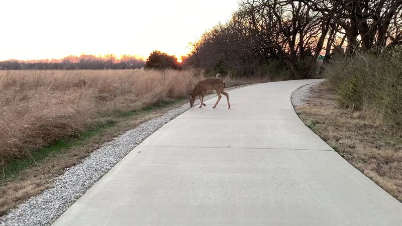 K-96 Bicycle Path, Wichita, Kansas K-96 Bicycle Path, Wichita, Kansas