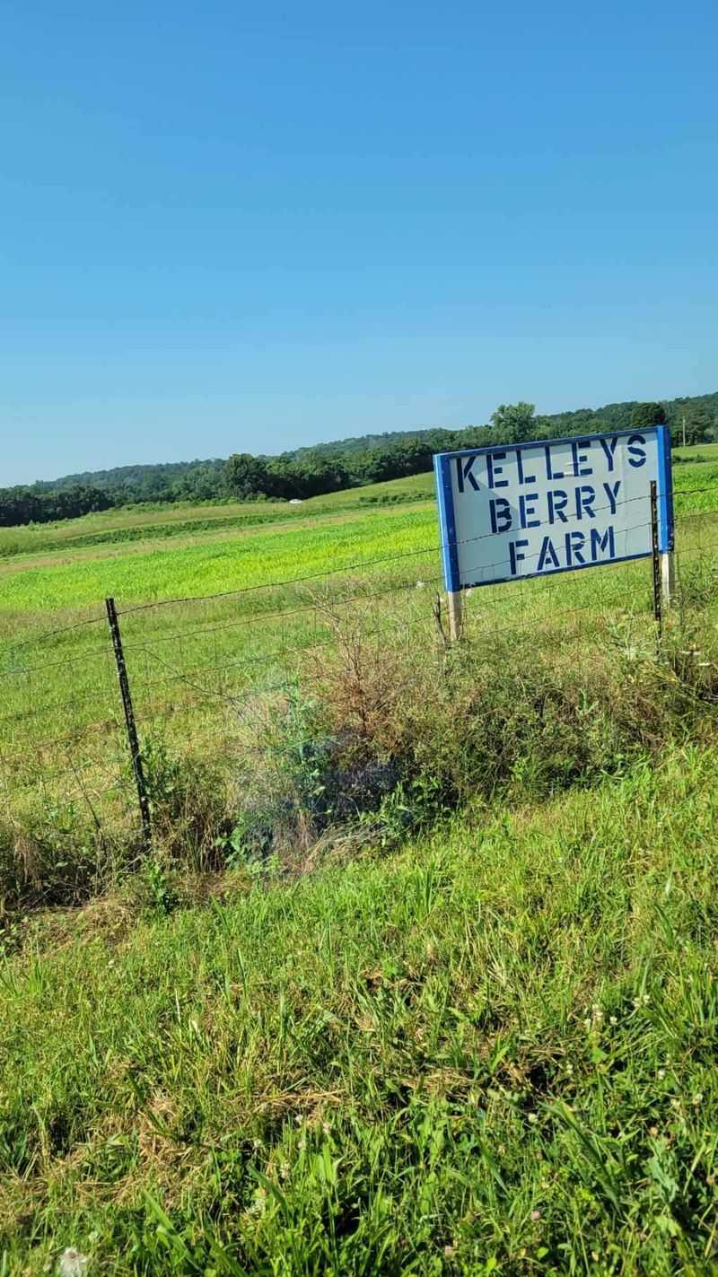Kelleys Berry Farm, Castalian Springs, TN Kelleys Berry Farm, Castalian Springs, TN
