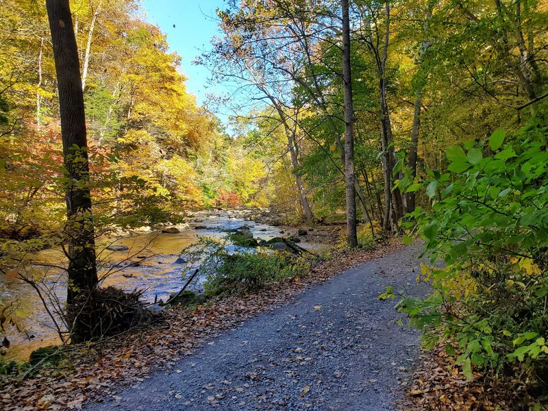 Ken Lockwood Gorge Wildlife Management Area, Califon, NJ