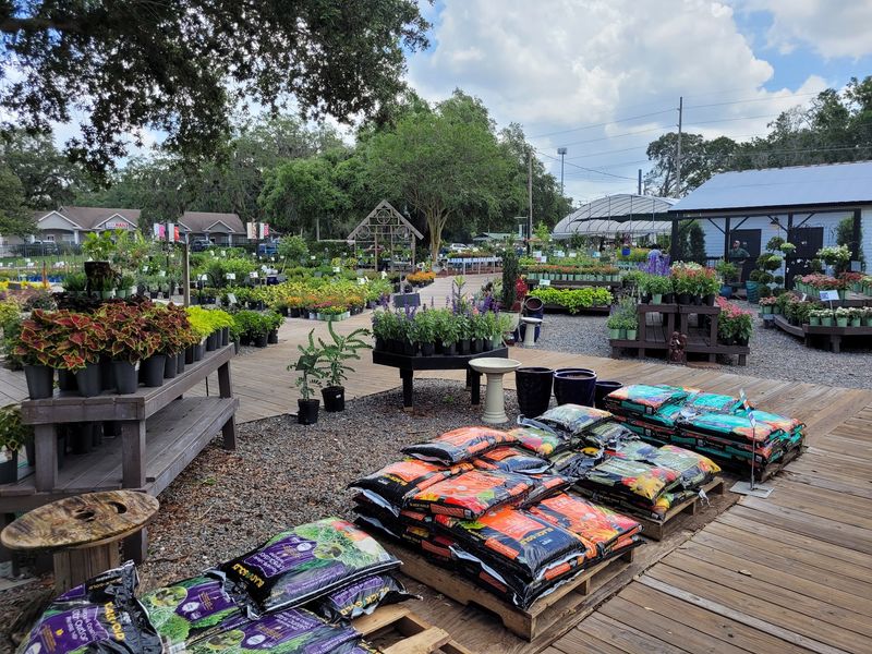 Kerby's Nursery & Landscaping, Seffner, FL Kerby's Nursery & Landscaping, Seffner, FL