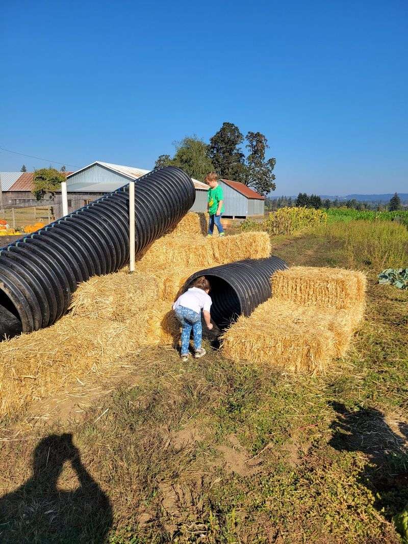 Kid-Friendly Fun and Open-Air Space