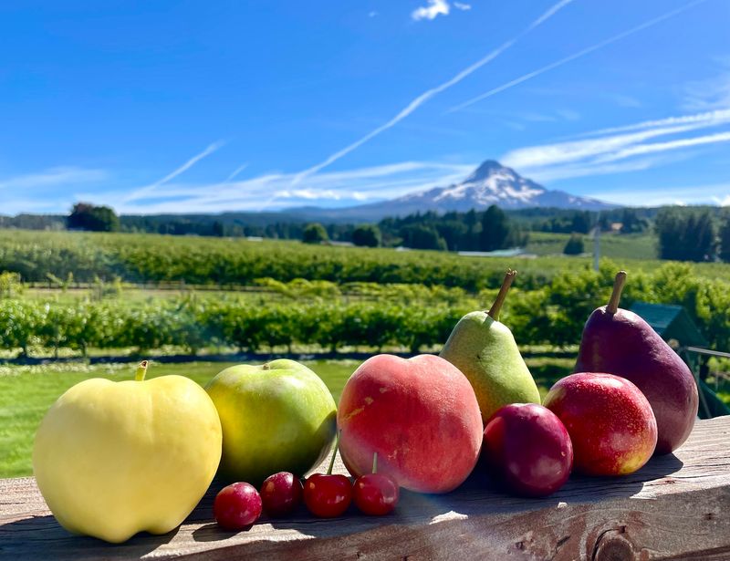 Kiyokawa Family Orchards, Mt Hood, OR