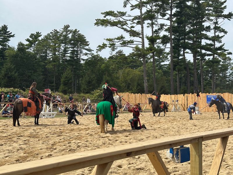 Knights, Horses, and the Roar of the Joust Knights, Horses, and the Roar of the Joust