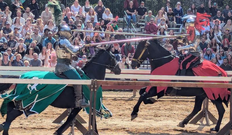Knights on Horseback and the Roar of the Joust