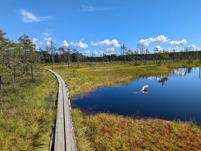 Lahemaa National Park, Estonia Lahemaa National Park, Estonia