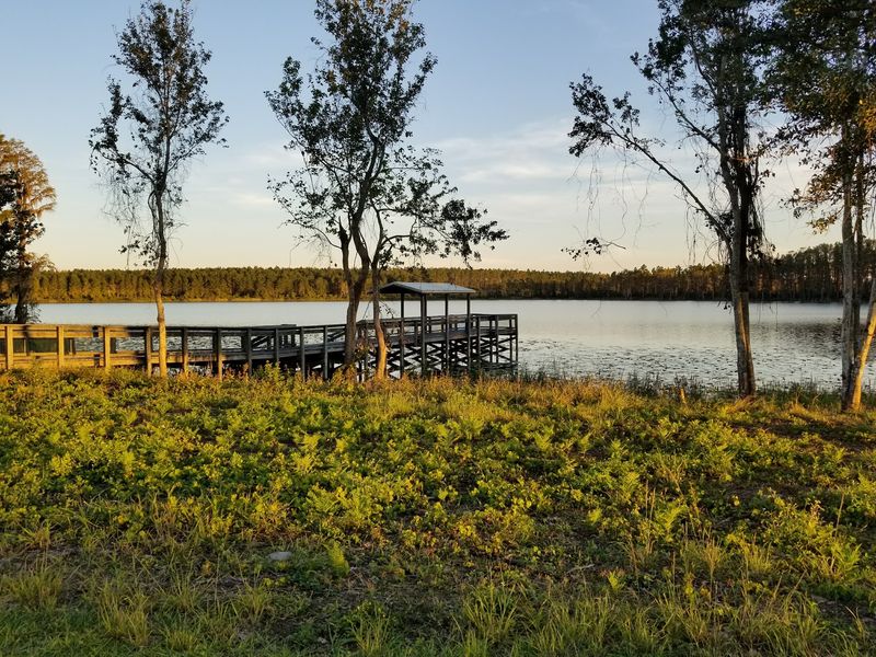 Lake Louisa State Park, Clermont, FL Lake Louisa State Park, Clermont, FL