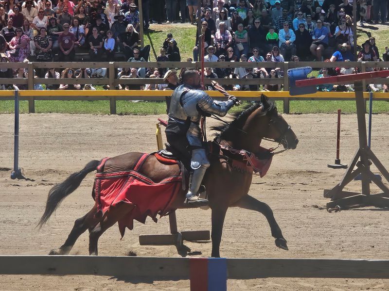 Lances, Horses, and a Champion Knight