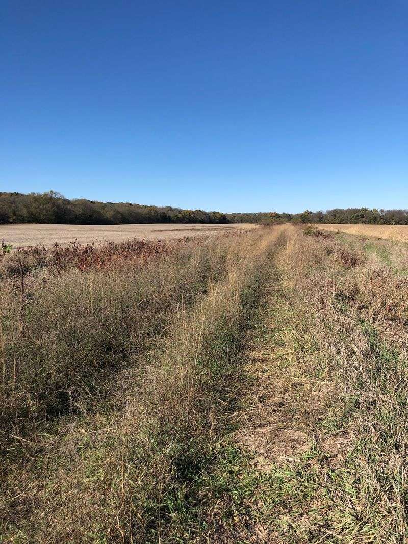 Landon Nature Trail, Topeka, Kansas Landon Nature Trail, Topeka, Kansas